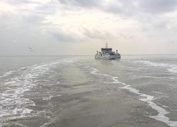 Normal_amel_n_fearboat