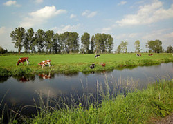 Normal_2001