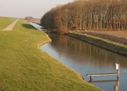 Normal_2006