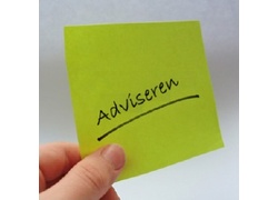 Logo_adviseren
