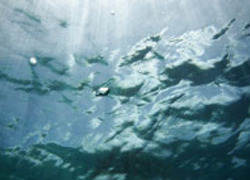 Normal_2112
