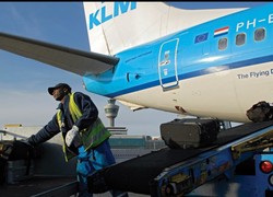 Normal_bagagemedewerker-bij-vliegtuig-1