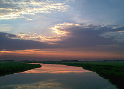 Normal_2195