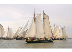 Logo_cornelis_race