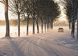 Normal_2203